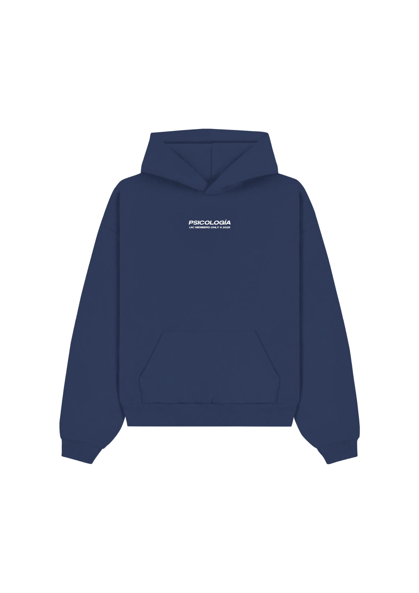 Diseño 2 delante