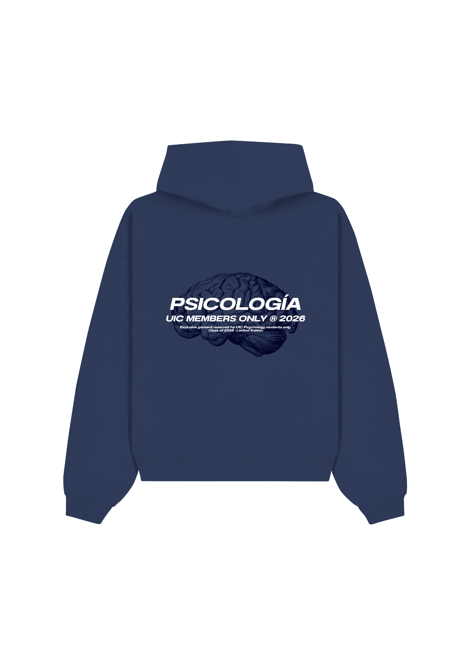 Diseño 2 detrás